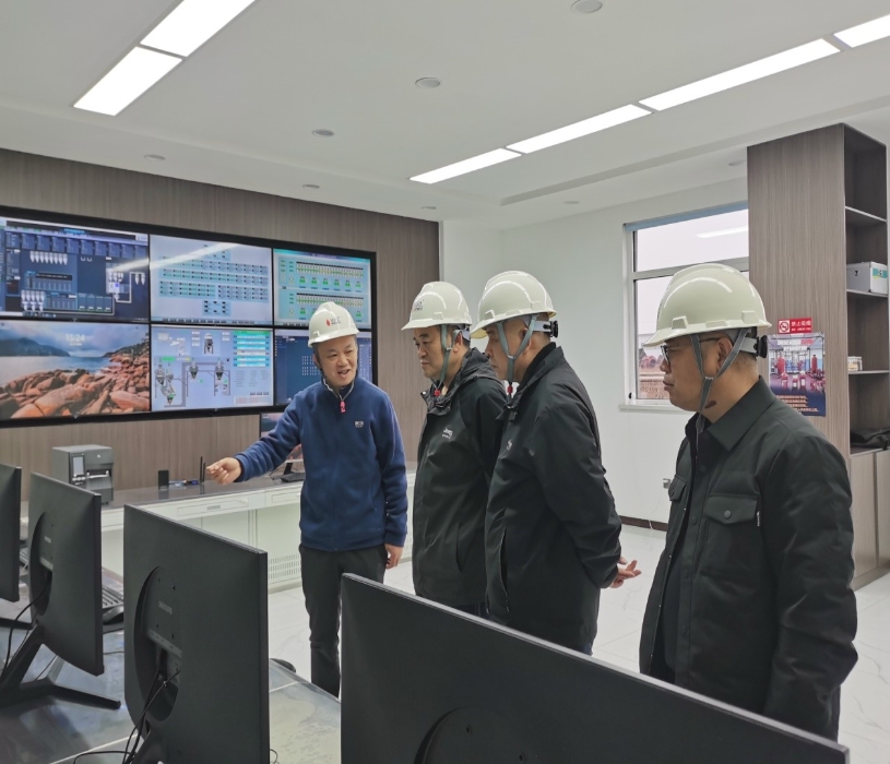 金隆銅業(yè)公司領(lǐng)導到我公司考察